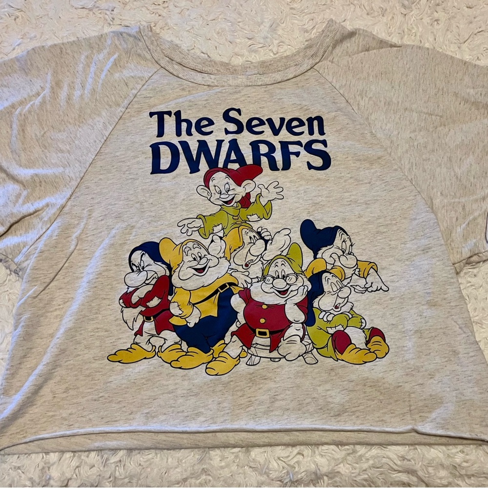 The Seven Dwarfs Women’s Crop Shirt - Gray